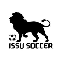 a silhouette of a lion with a soccer ball